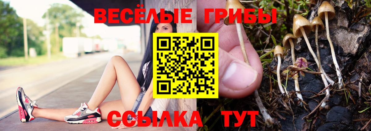 Чебоксары  Галлюциногенные грибы GOLDEN TEACHER  Вход с VPN  Псилоцибиновые грибы Psilocybine cubensis 
